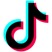 TikTok icon